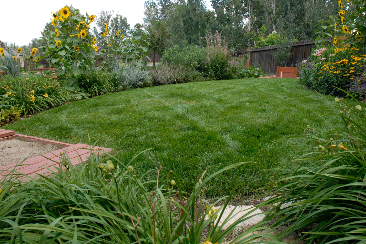 Terraced Turf Backyard
